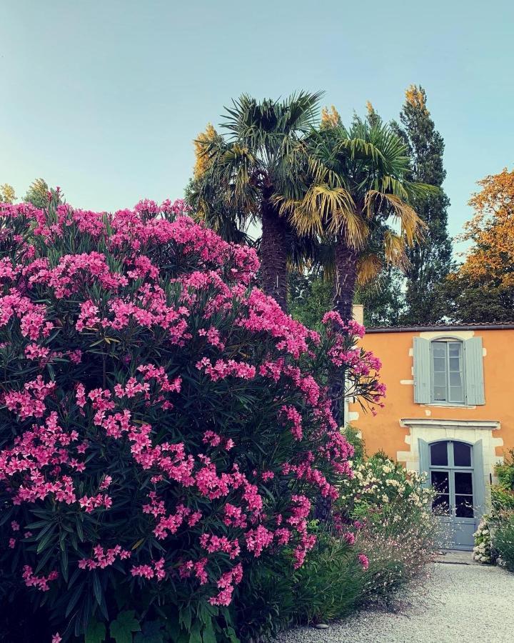 Chambres D'Hotes La Borderie Du Go Pres De La Rochelle - Nieul エクステリア 写真